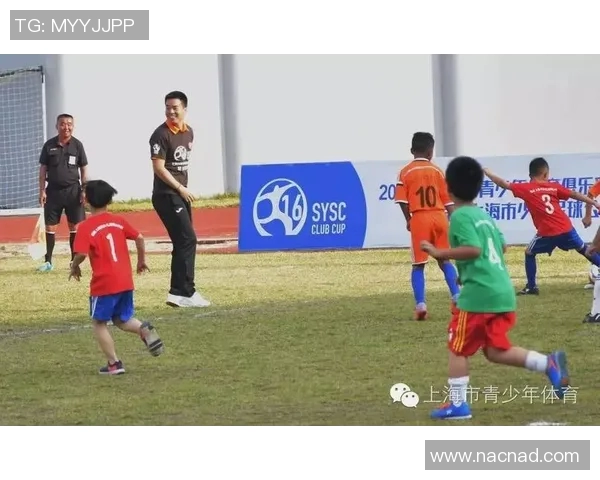 体育明星事件对青少年教育的影响与启示探讨