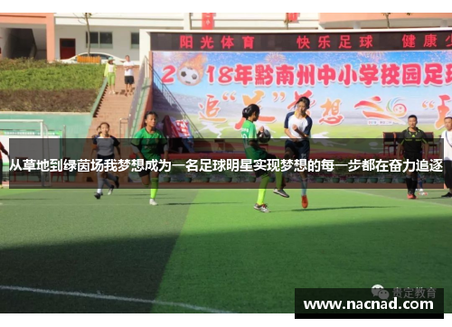 从草地到绿茵场我梦想成为一名足球明星实现梦想的每一步都在奋力追逐