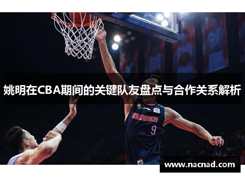 姚明在CBA期间的关键队友盘点与合作关系解析