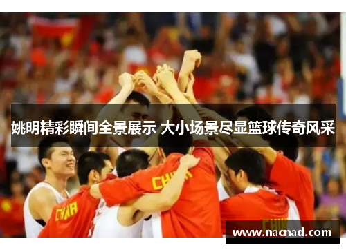 姚明精彩瞬间全景展示 大小场景尽显篮球传奇风采