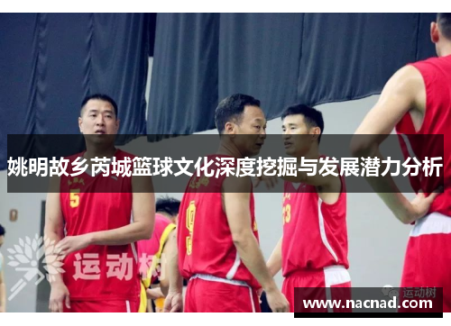 姚明故乡芮城篮球文化深度挖掘与发展潜力分析