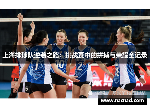 上海排球队逆袭之路：挑战赛中的拼搏与荣耀全记录