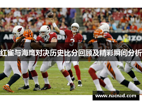 红雀与海鹰对决历史比分回顾及精彩瞬间分析